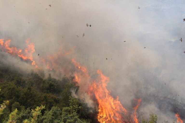 Wildfire emergency/Firefighters “at war” without equipment and machinery