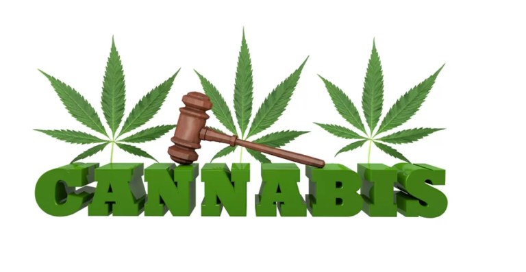 The metamorphosis of Government / “War” and “peace” with cannabis