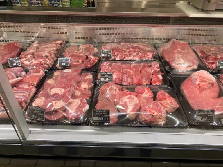 Are you considered poor or below the sustenance level with 140 Euro a month?