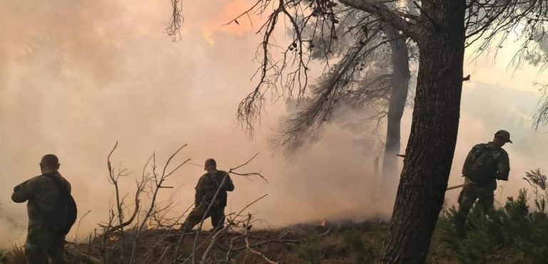 Why was air intervention delayed in extinguishing the flames on Sazan Island?