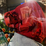 Bastet_Feature-Image-scaled