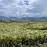 354241196_6298029560266229_214375918407043569_n